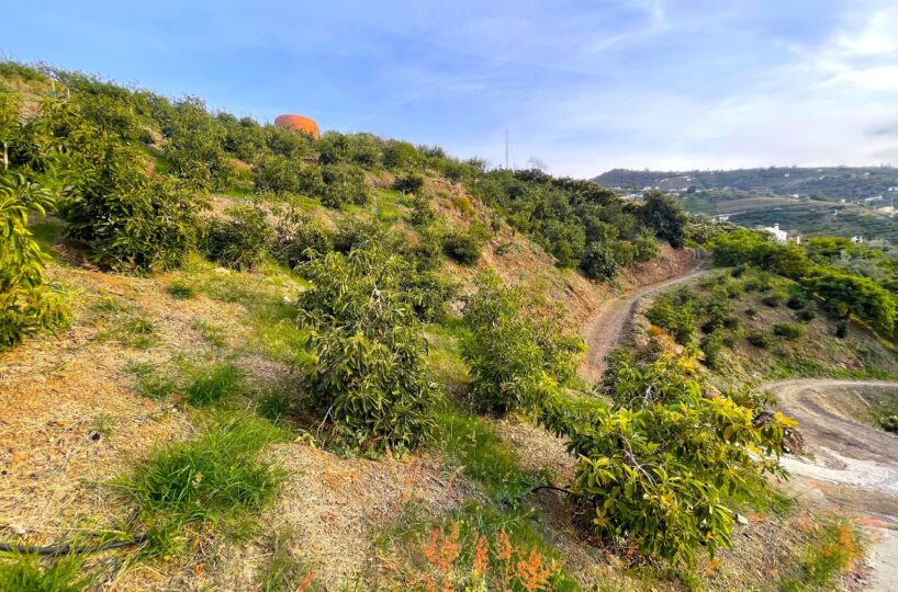 Finca in Sayalonga