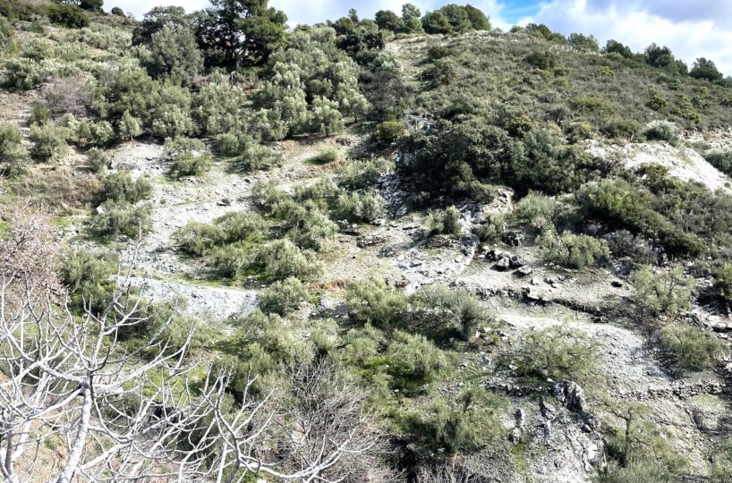 Plot in Canillas de Albaida